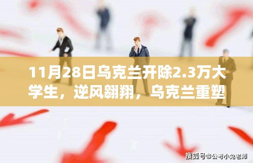 第1919页