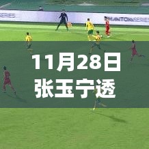 第1917页