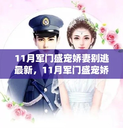 11月军门盛宠娇妻别逃，深情宠溺的爱情传奇