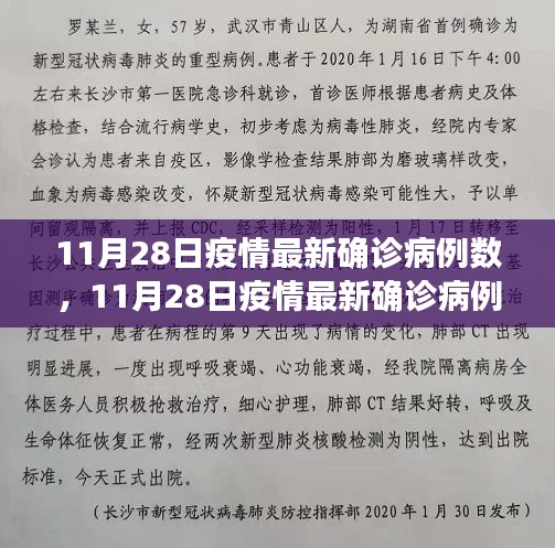 11月28日疫情最新确诊病例数详解，逐步了解疫情动态