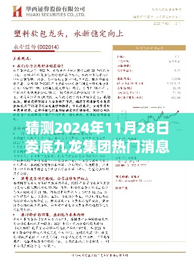 娄底九龙集团未来展望，热门消息预测与深度洞察（2024年11月版）