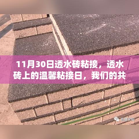 产品中心 第526页