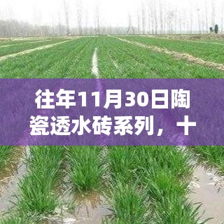 百尺无枝 第3页