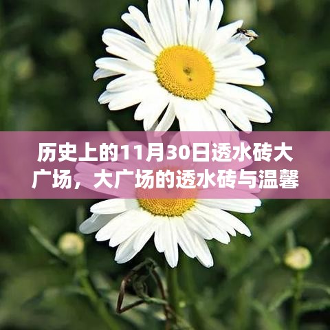 展翅高飞 第4页