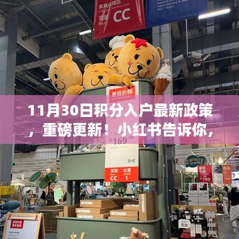 积分入户最新政策详解，小红书揭秘11月30日重磅更新！