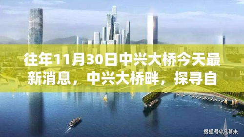 中兴大桥畔的自然美景治愈之旅最新消息揭秘