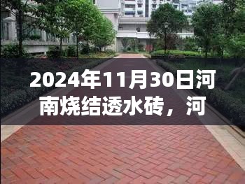 河南烧结透水砖，未来城市建设的绿色之选（2024年11月30日）