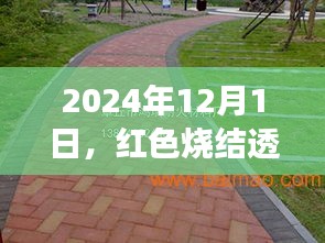 红色烧结透水砖的崛起与未来应用前景展望（2024年视角）