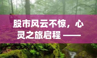 衣不兼彩 第3页