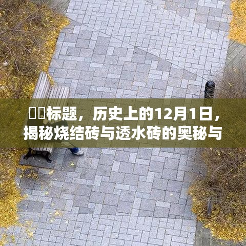 为民请命 第4页
