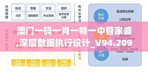 澳门一码一肖一特一中管家婆,深层数据执行设计_V94.209-7