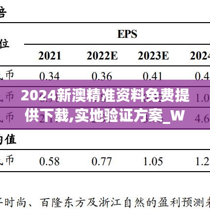 2024新澳精准资料免费提供下载,实地验证方案_WP43.128-9