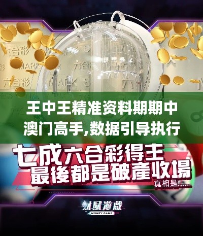 王中王精准资料期期中澳门高手,数据引导执行计划_标准版64.646-8