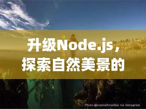 升级Node.js与探索自然美景，内心平静的奇幻之旅