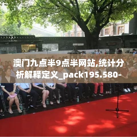澳门九点半9点半网站,统计分析解释定义_pack195.580-8
