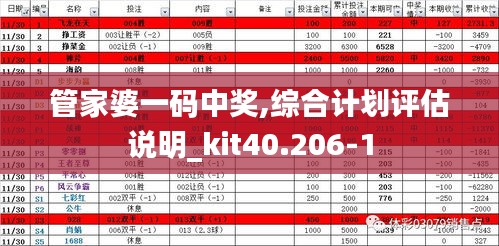 管家婆一码中奖,综合计划评估说明_kit40.206-1