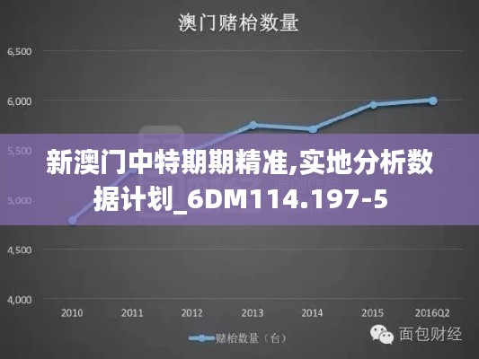 新澳门中特期期精准,实地分析数据计划_6DM114.197-5