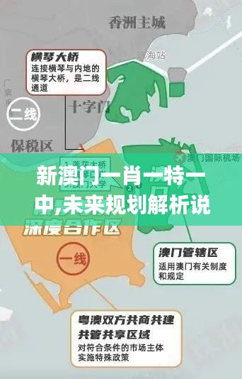 新澳门一肖一特一中,未来规划解析说明_V297.912-4
