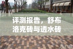 舒布洛克砖与透水砖深度解析及评测报告