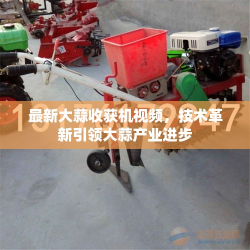 技术革新引领大蒜产业进步，最新大蒜收获机视频公开亮相