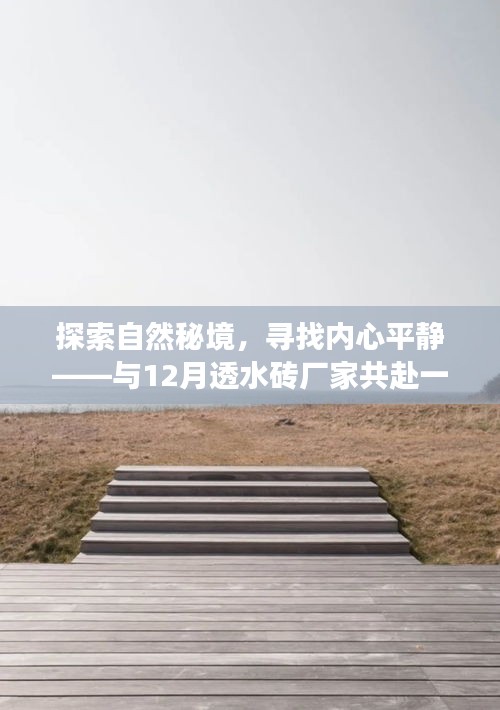 一飞冲天 第3页