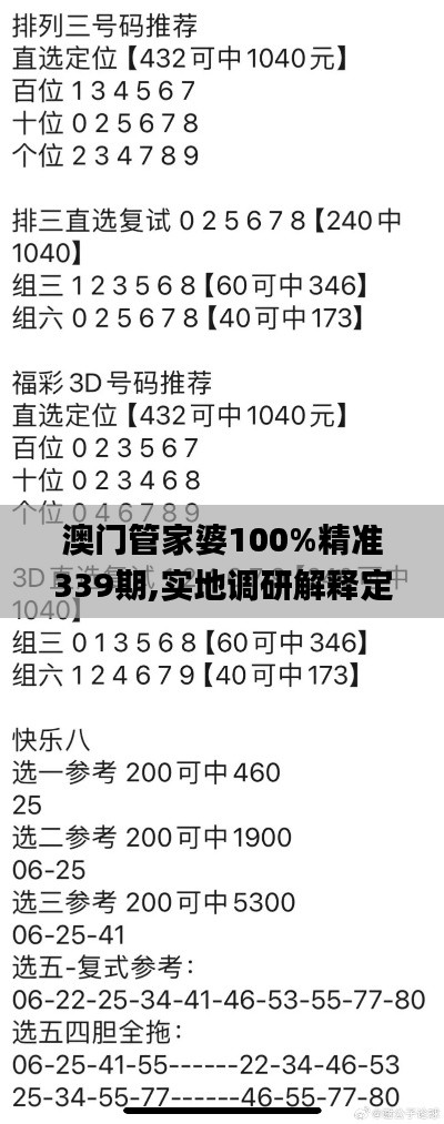 澳门管家婆100%精准339期,实地调研解释定义_纪念版36.320-8