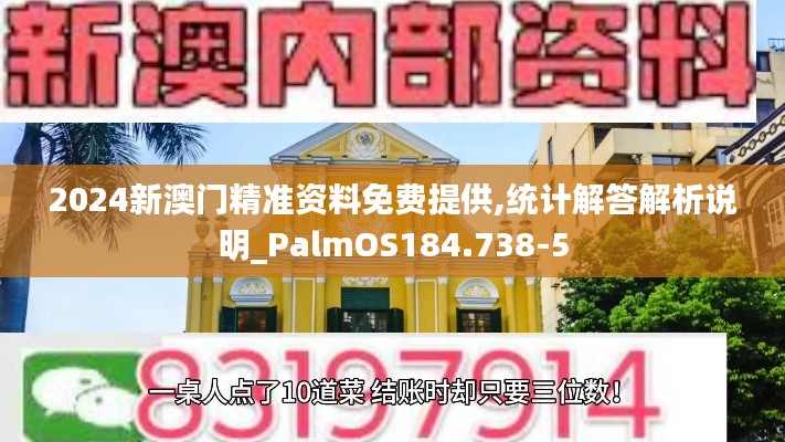 2024新澳门精准资料免费提供,统计解答解析说明_PalmOS184.738-5