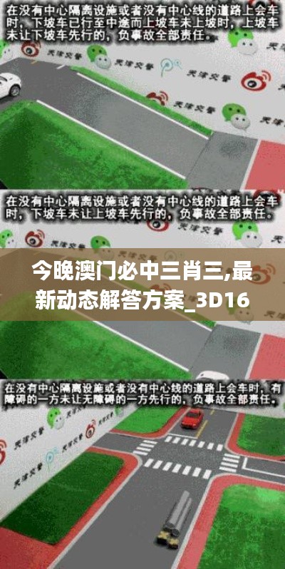 今晚澳门必中三肖三,最新动态解答方案_3D16.975-9