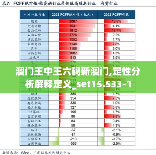 澳门王中王六码新澳门,定性分析解释定义_set15.533-1