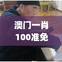 澳门一肖100准免费,高效策略设计_XP73.640-4