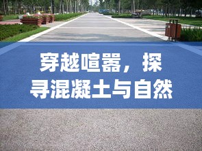 气宇轩昂 第3页