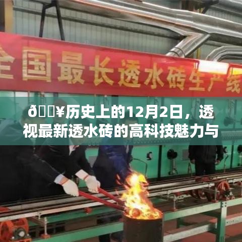 十全十美 第3页