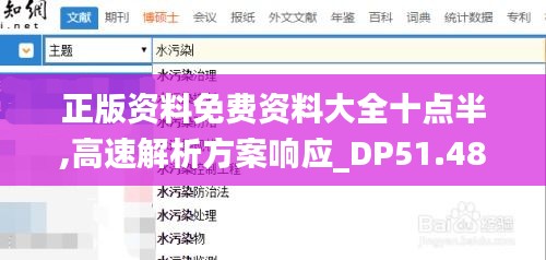 正版资料免费资料大全十点半,高速解析方案响应_DP51.481
