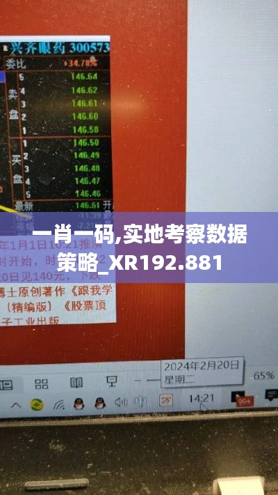 一肖一码,实地考察数据策略_XR192.881