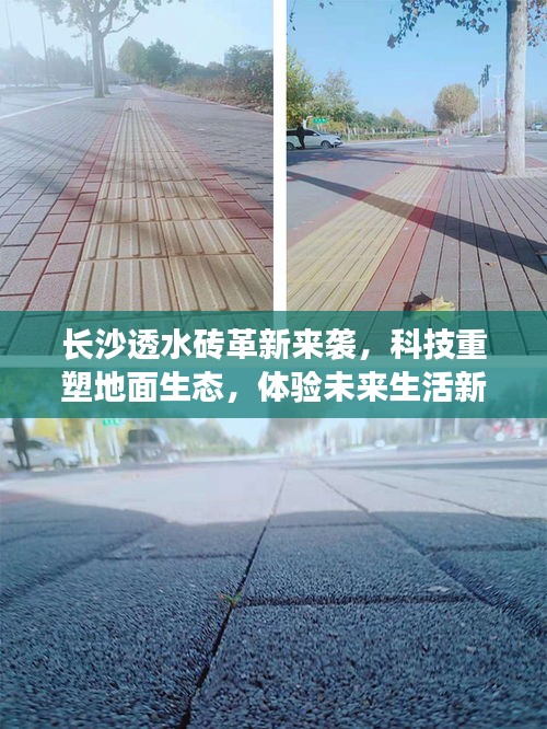 长沙透水砖革新引领未来生活，科技重塑地面生态新纪元