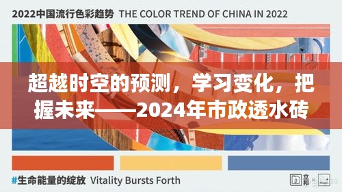超越时空，市政透水砖价格预测之旅，自信把握未来趋势（2024年）