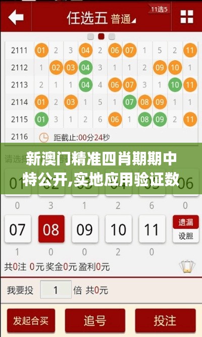 新澳门精准四肖期期中特公开,实地应用验证数据_特供款13.732