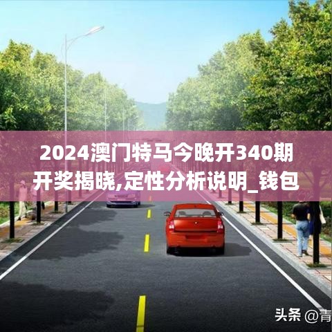 2024澳门特马今晚开340期开奖揭晓,定性分析说明_钱包版68.929-7