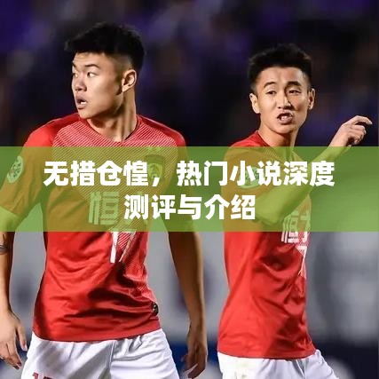 无措仓惶，热门小说深度解读与介绍