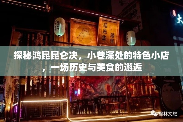 飞箭如蝗 第3页