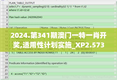 新澳中心 第256页