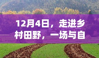 雍容典雅 第3页