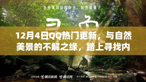 12月4日QQ热门更新，与自然美景的不解之缘，探寻内心平静的旅程启程