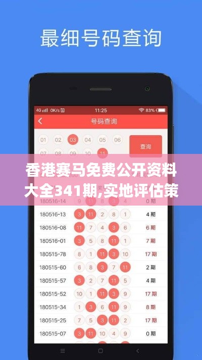香港赛马免费公开资料大全341期,实地评估策略数据_GT10.787