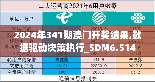 2024年341期澳门开奖结果,数据驱动决策执行_5DM6.514