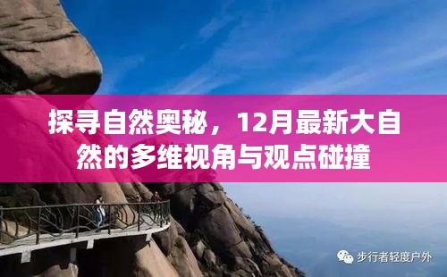 打张鸡儿 第2页