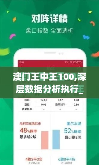 澳门王中王100,深层数据分析执行_交互版3.293