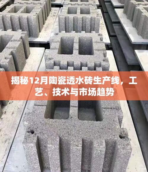 声如洪钟 第3页