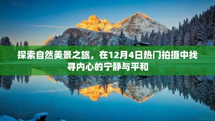 探寻自然美景之旅，寻找内心的宁静与平和——热门拍摄日12月4日纪实