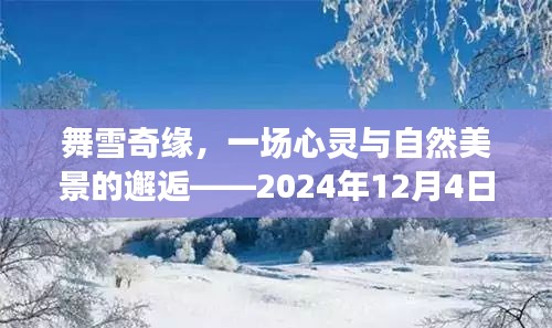 钗荆裙布 第4页